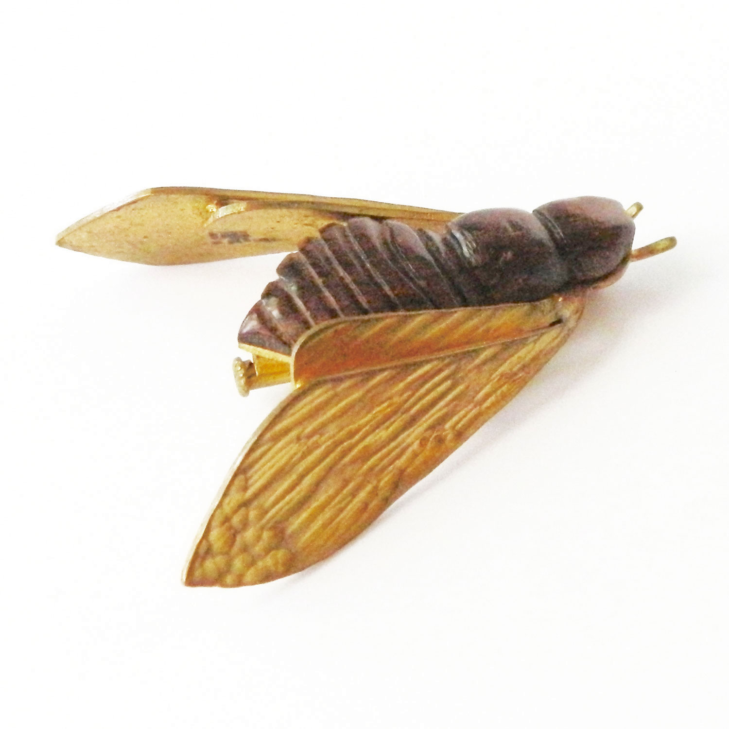 Rosewood cicada insect brooch