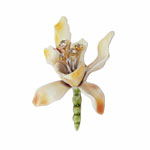 Har Iris flower brooch