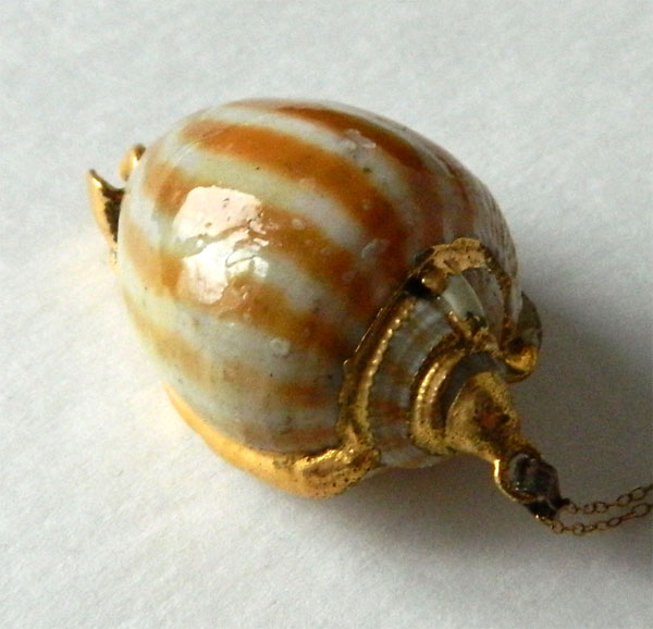 Guilded seashell pendant necklace