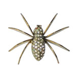 rhinestone spider brooch