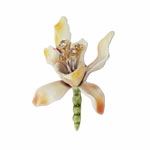 Har Iris Flower Brooch