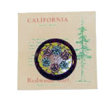 California redwood souvenir brooch