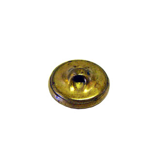Antique button