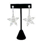 Crystal drop earrings