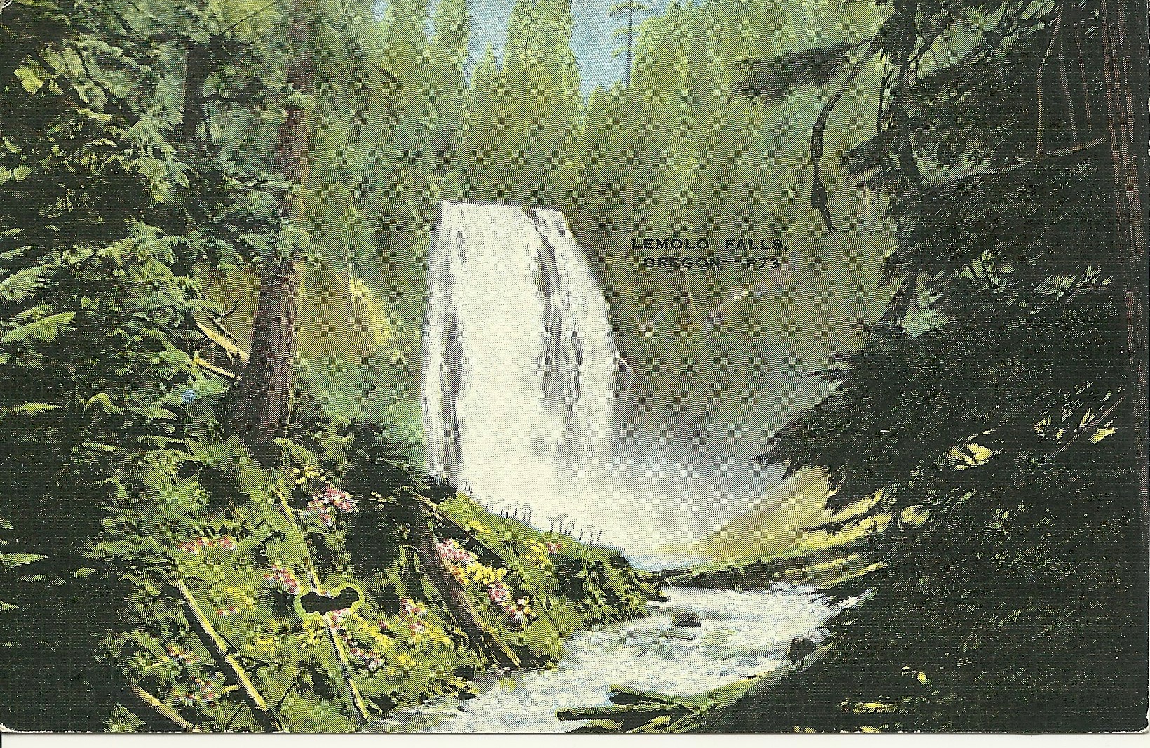 Vintage Lemolo Falls Oregon Postcard