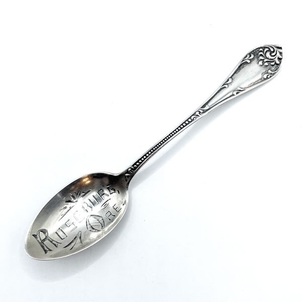 Roseburg Oregon souvenir spoon