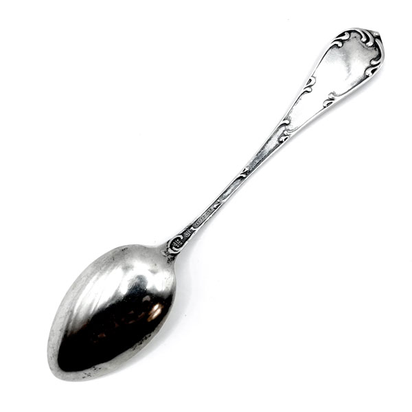 Roseburg Oregon souvenir spoon