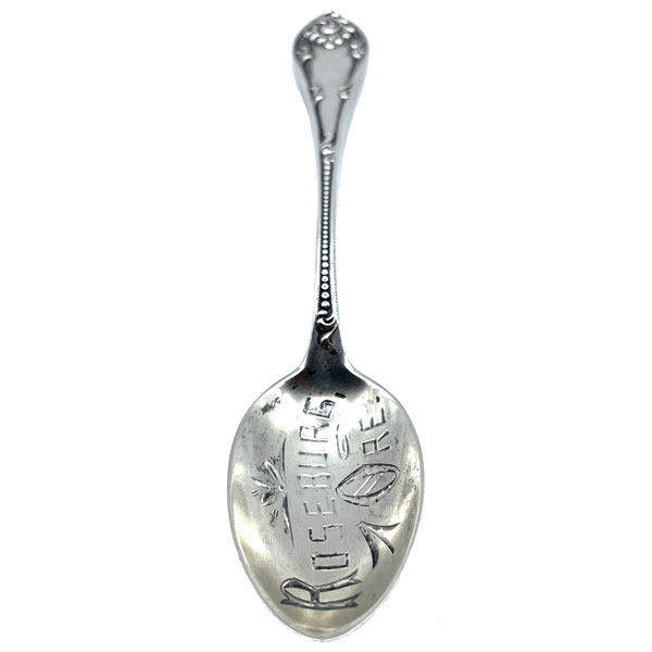 Roseburg Oregon souvenir spoon
