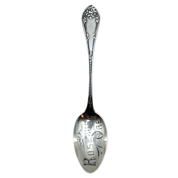 Roseburg Oregon souvenir spoon