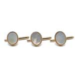 Abalone shirt stud set
